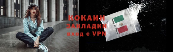 прущие грибы Абдулино