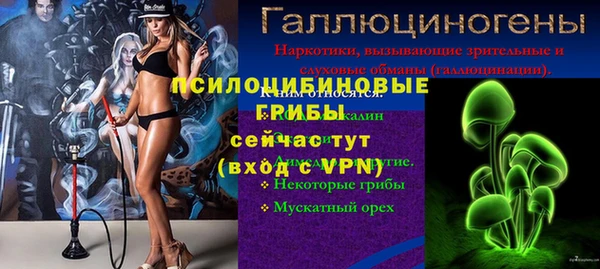ГАЛЛЮЦИНОГЕННЫЕ ГРИБЫ Абинск