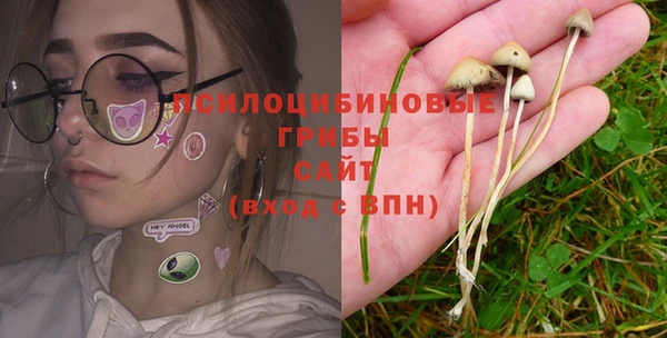 ГАЛЛЮЦИНОГЕННЫЕ ГРИБЫ Абинск