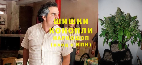 ГАЛЛЮЦИНОГЕННЫЕ ГРИБЫ Абинск