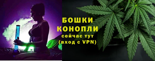прущие грибы Абдулино